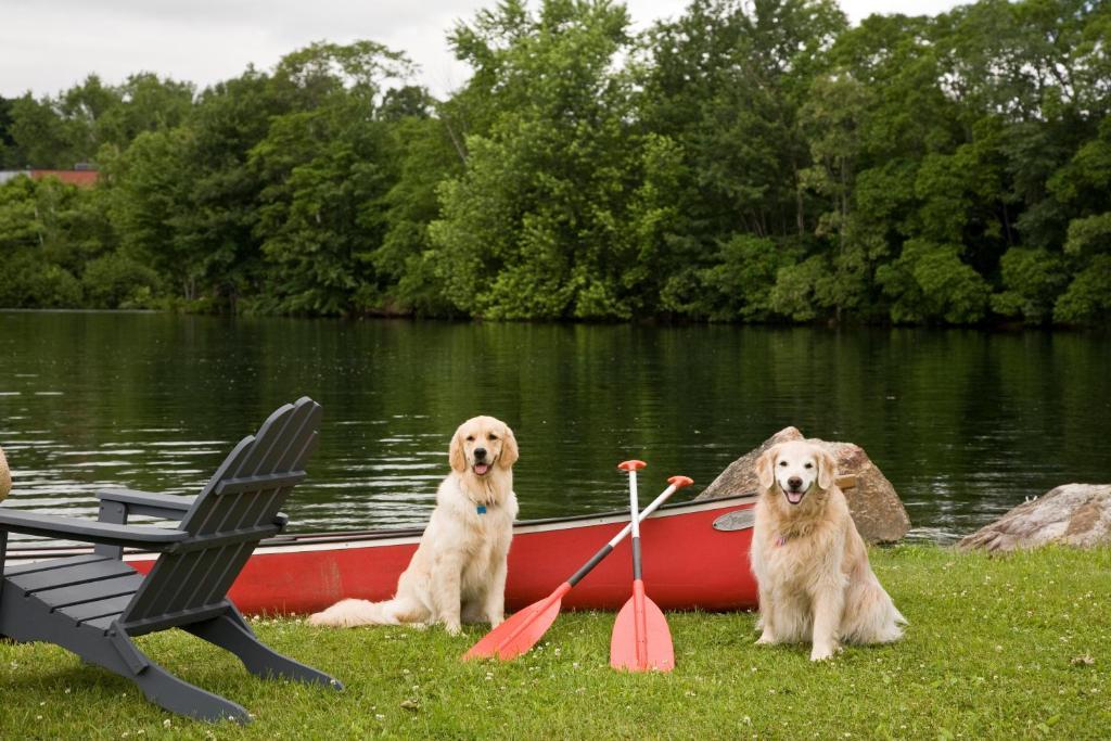 Lake Opechee Inn And Spa Lakonia Dış mekan fotoğraf